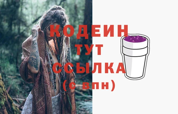 дмт Белокуриха
