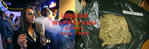 дмт Белокуриха